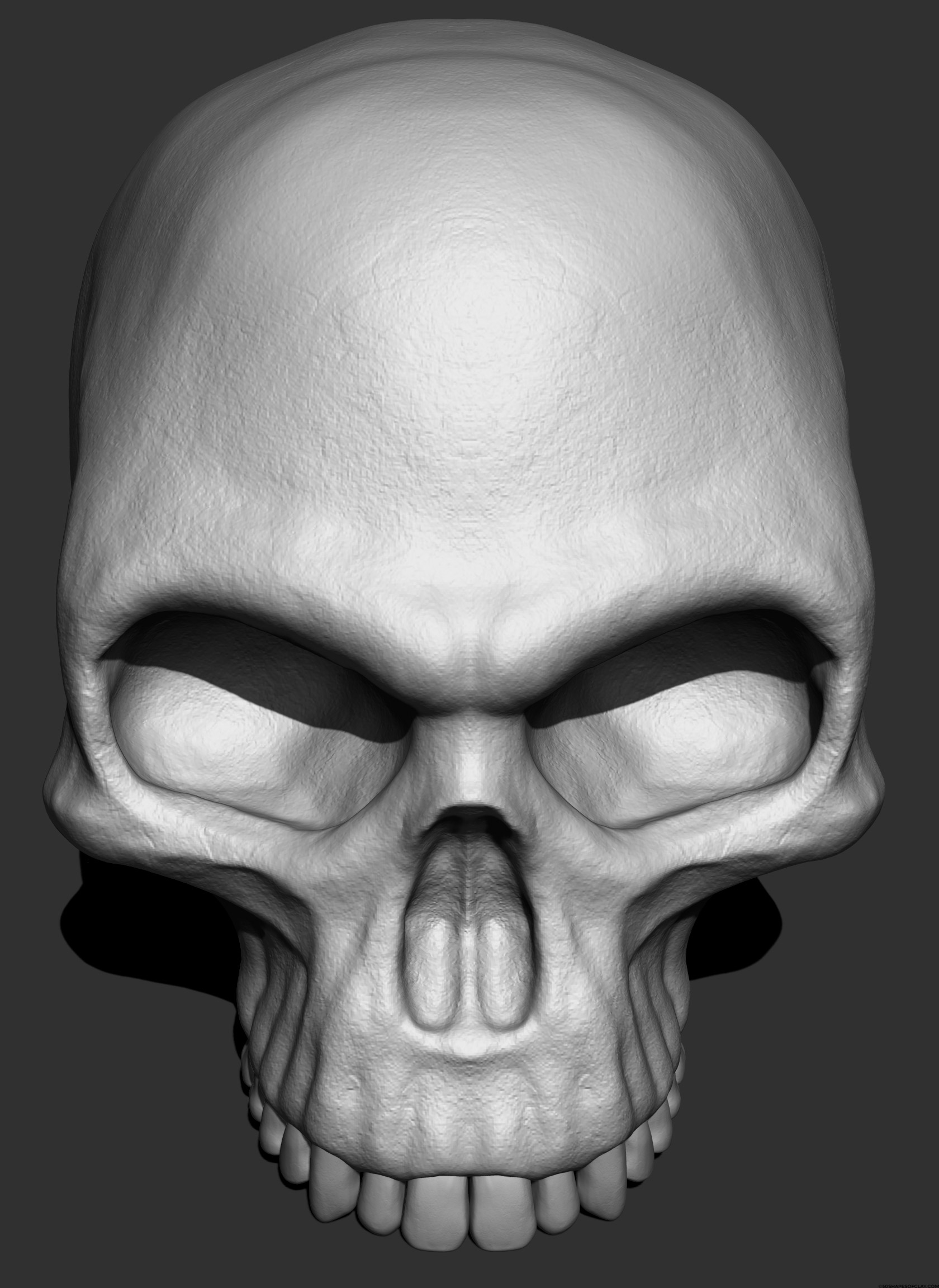 HUMAN-SKULL-FRONT-ABOVE